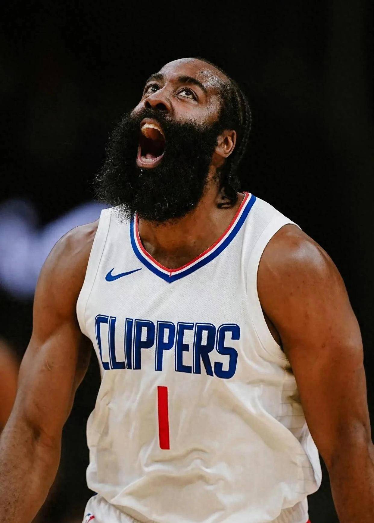 开云在线-哈登遭遇十二持续失利，加拿大队教练压力巨大！的简单介绍-开云在线